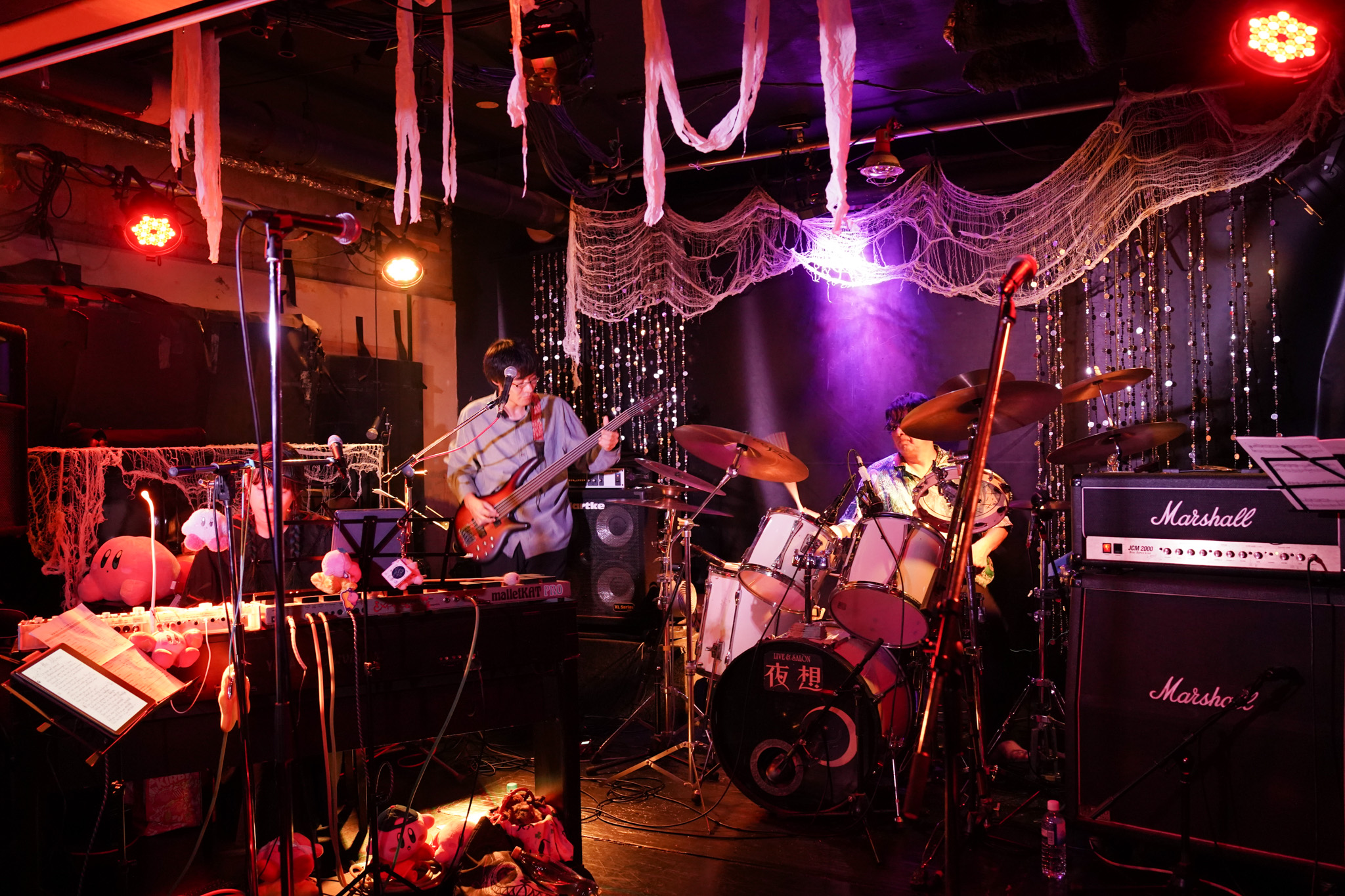 ザッパロウィン25