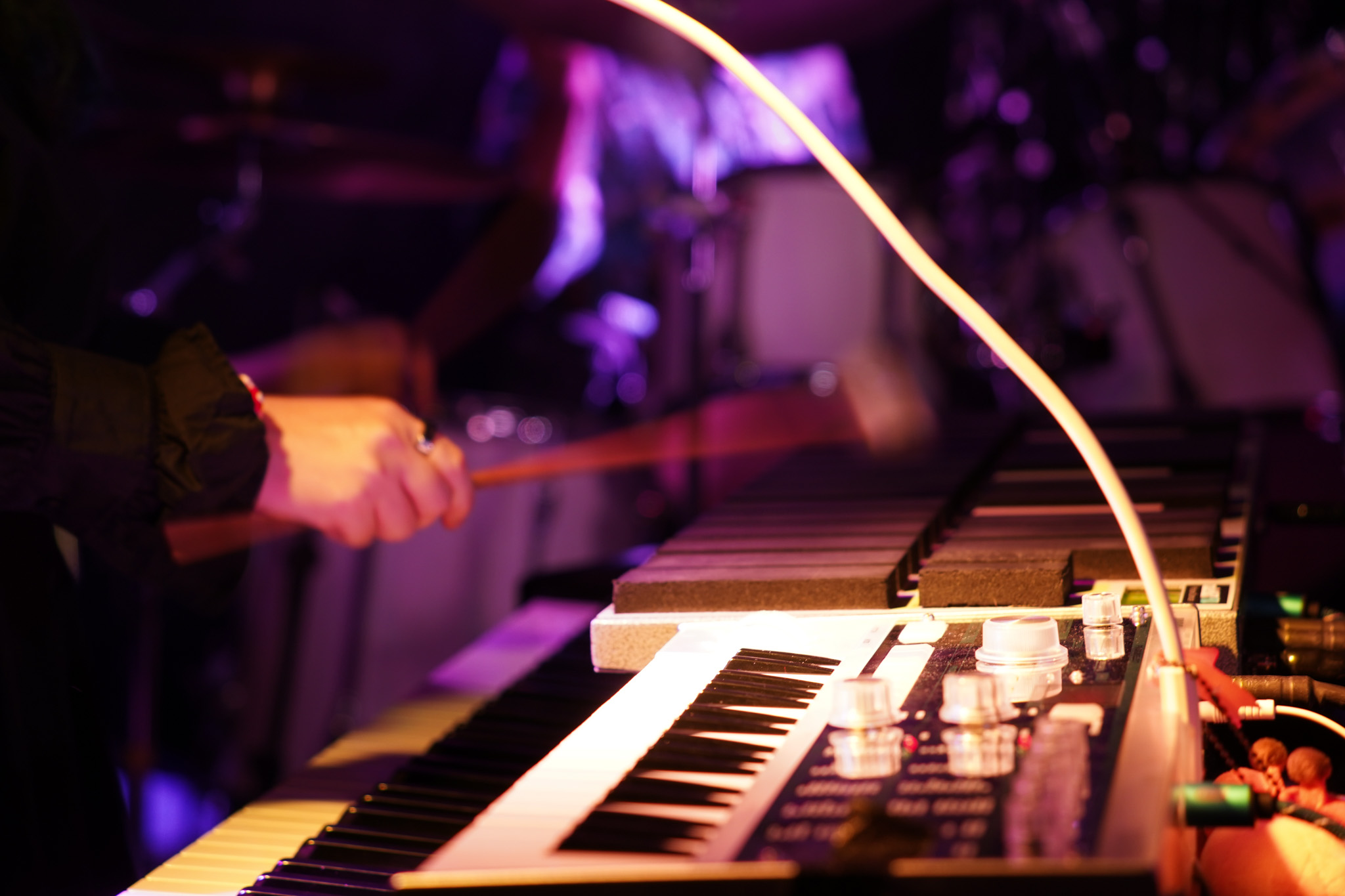 ザッパロウィン25